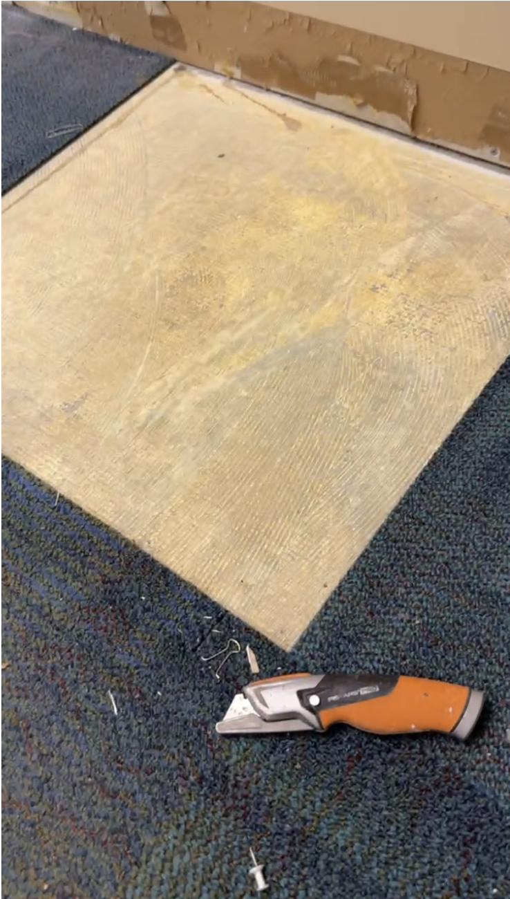 Pediatric office and educational facility renovation in Auburn, MA - painting and LVP flooring by JP Creative Maintenance (3)