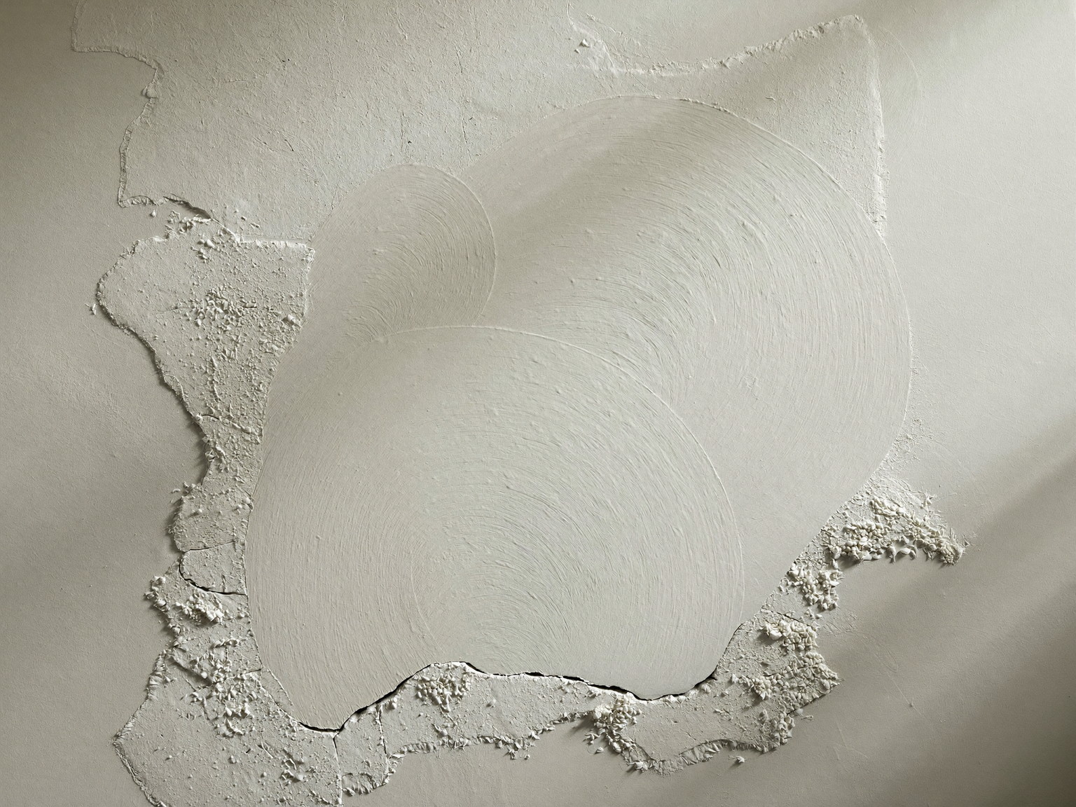 A patch of original horsehair plaster wall mid-repair in an older Boston rowhouse: fresh joint compound feathered wide over the crack, edges still curing before the final sand, raking light showing the repair