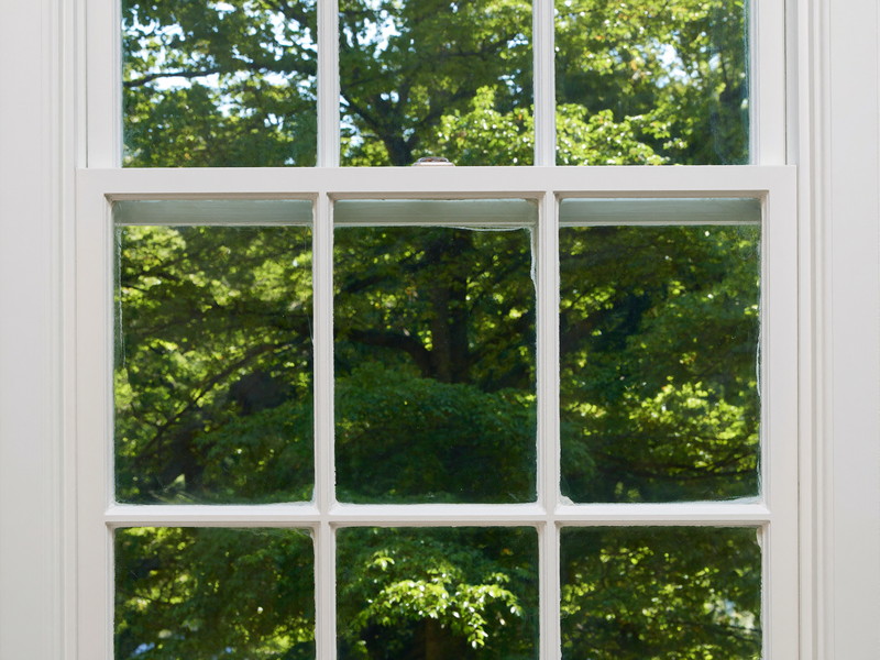 A restored double-hung window sash in an established home: fresh white paint, clean glazing, original wavy glass catching light, view of green maples