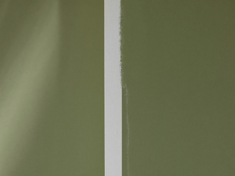Close-up of a crisp hand-cut paint line where a deep olive-sage wall meets bright white painted casing, razor-straight edge, raking light showing fine brush