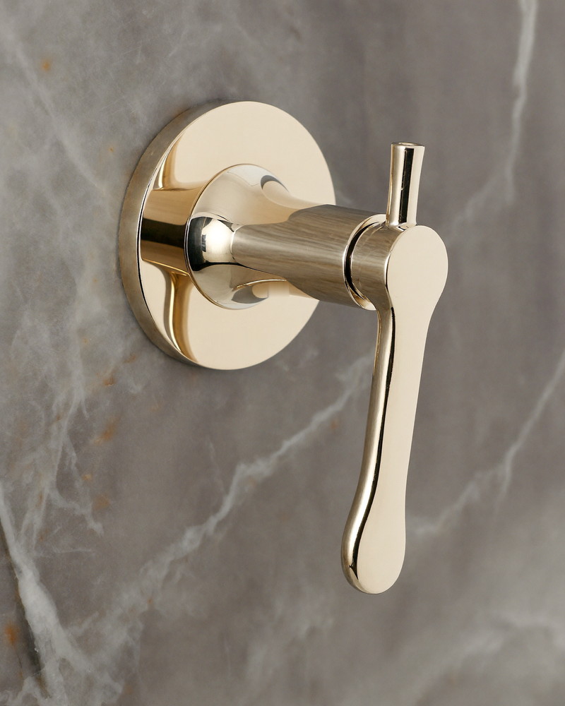 Macro photograph of a completely unbranded polished nickel bath spout and smooth lever handle mounted on gray-veined marble
