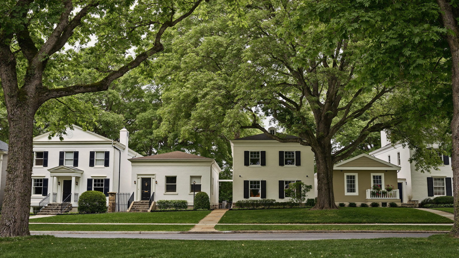 A quiet tree-lined Medfield Massachusetts style suburban street in summer: white and cream colonial and cape homes, black shutters, stone walls