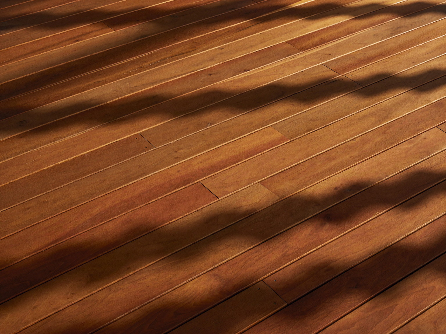 Freshly oiled cedar deck boards in warm afternoon light: rich honey-toned surface with a soft sheen, natural wood baluster shadows falling across the
