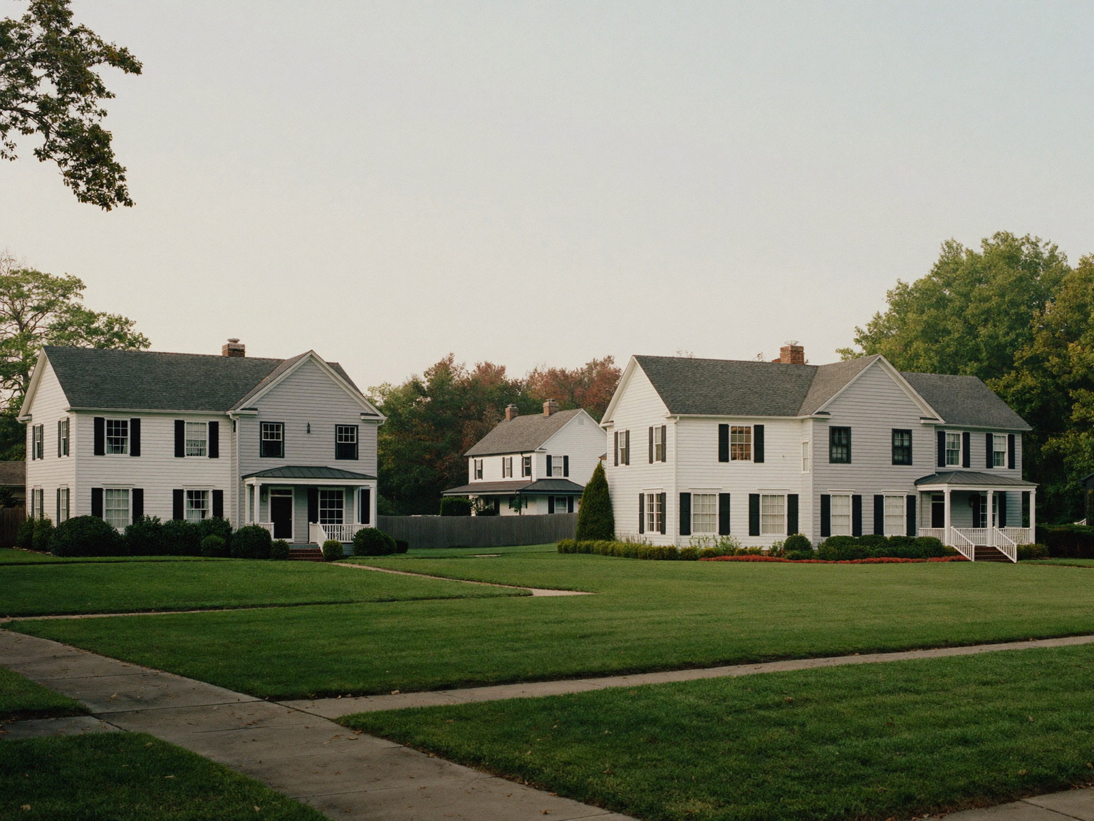 A leafy Needham Massachusetts street of established freshly painted homes: white and soft gray colonials and capes with black shutters and bright trim,