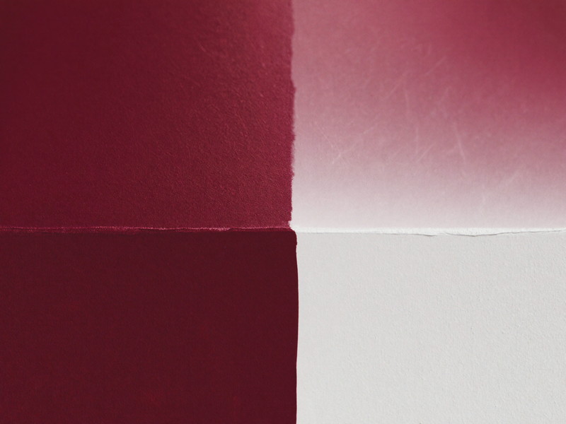 Crisp hand-cut paint line where a deep oxblood wall meets bright white trim